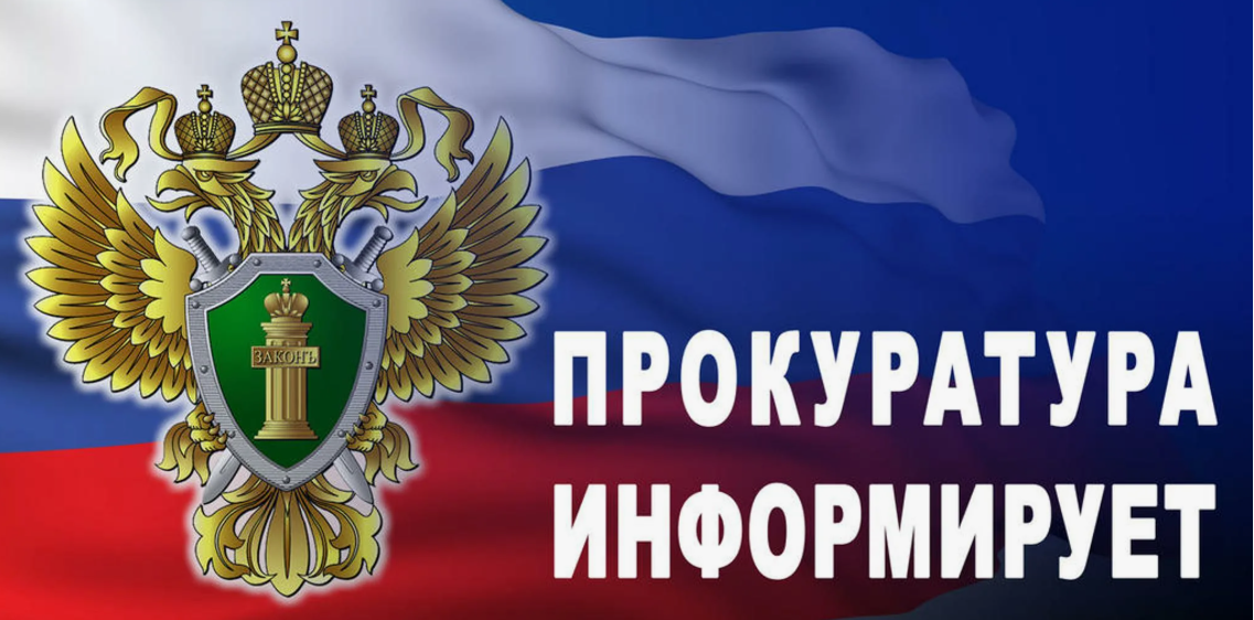 Изображение: Информационные материалы прокуратуры Нижегородской области.